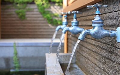 水が飲める地域に引っ越しするの？